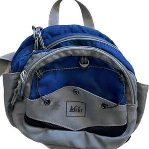 REI waistpack